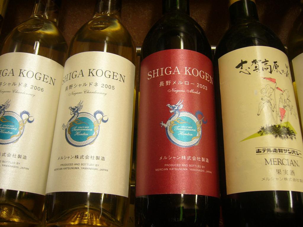 Shiga Kogen Hotel Shiga Sunvalley Yamanouchi  Bagian luar foto