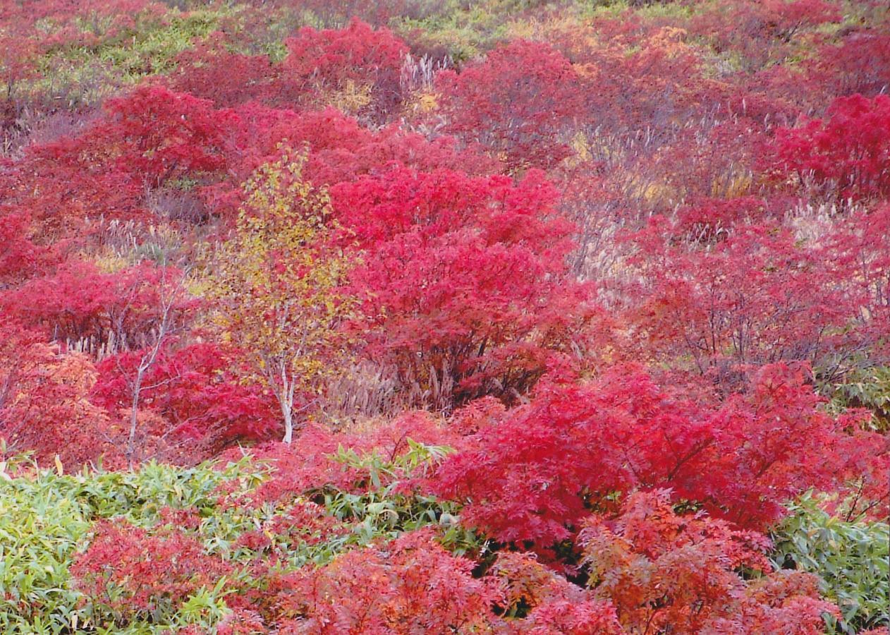 Shiga Kogen Hotel Shiga Sunvalley Yamanouchi  Bagian luar foto