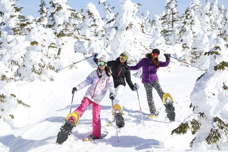Shiga Kogen Hotel Shiga Sunvalley Yamanouchi  Bagian luar foto